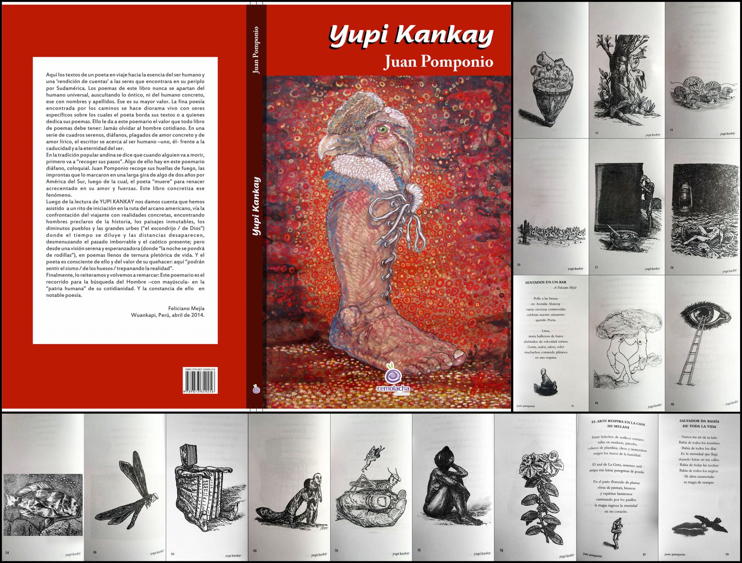 TAPA YUPI KANKAY 2014 con 18 ilustraciones copia
